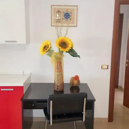 アパート Charming In 80 M² Garden View チヴィタノーヴァ・マルケ