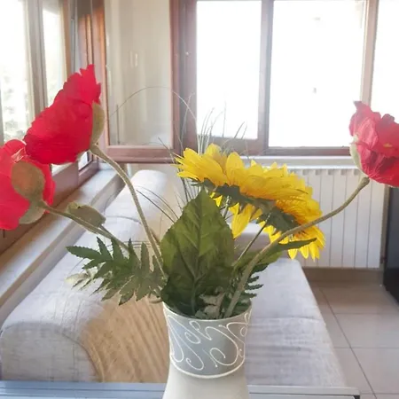 公寓 Charming In 80 M² Garden View *